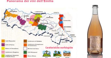 I migliori vini dell'Emilia per l'AIS