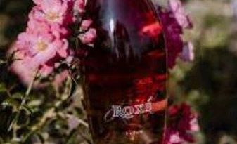 Vini Prosecco - Rosè