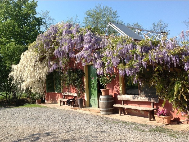 Cascina Degli Ulivi | Food and Wine Magazine
