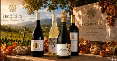Wine bottles on a stone ledge with autumn leaves and pumpkins, vineyard backdrop, and Tenuta Secolo IX banners.