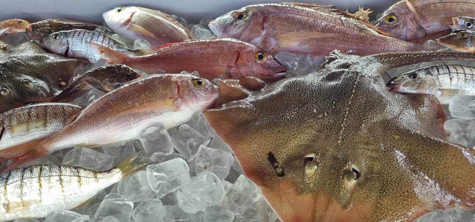 Beachclub_poseidonia_pescato_dei_pescatori_locali | Food and Wine Magazine Assorted fresh fish on crushed ice in a seafood display, including red-tinged fish and a large flat, textured fish at the front.