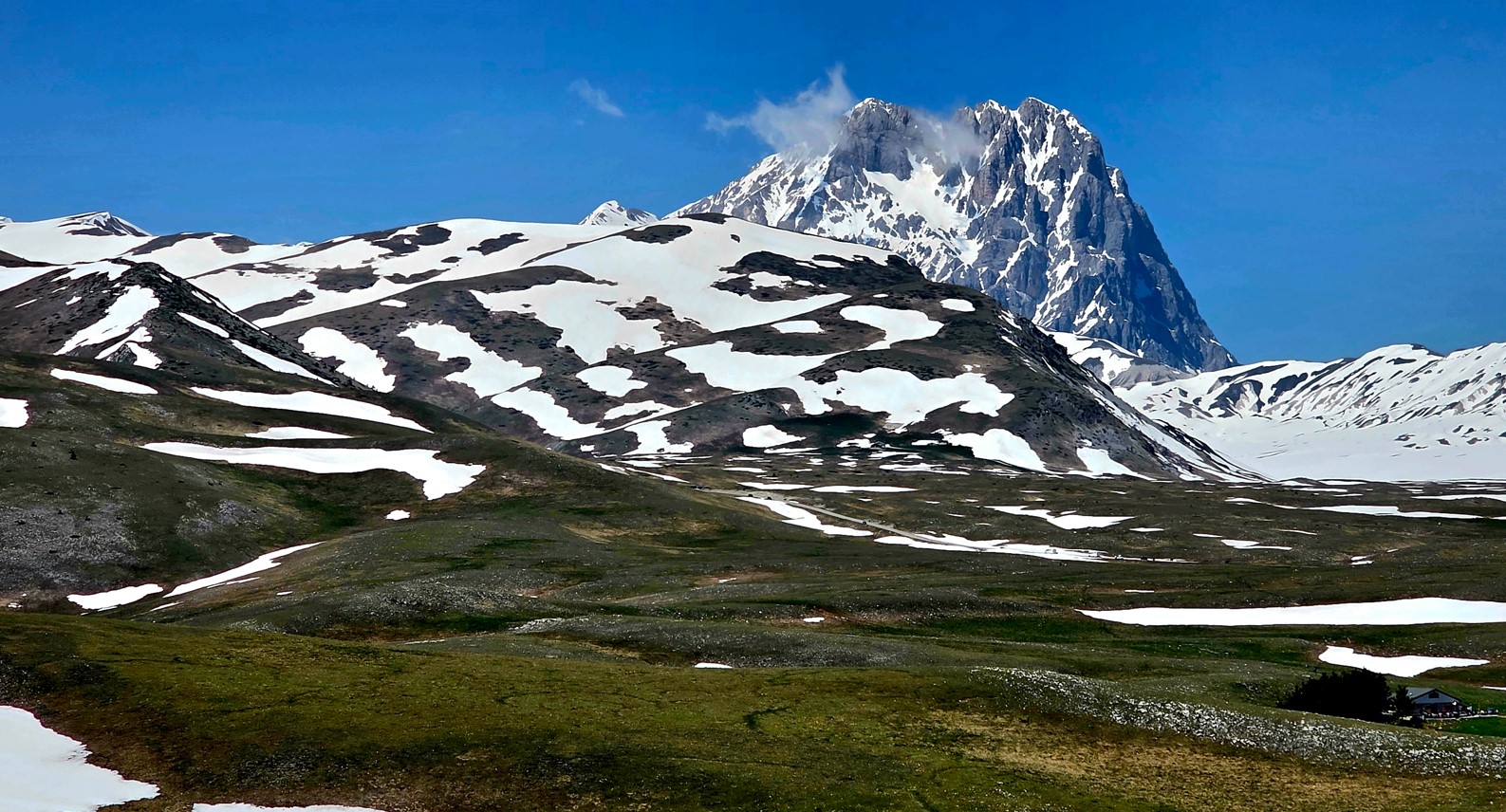 Alpine landscape with a snow-covered mountain under a clear blue sky and grassy foreground patches at the bottom right.