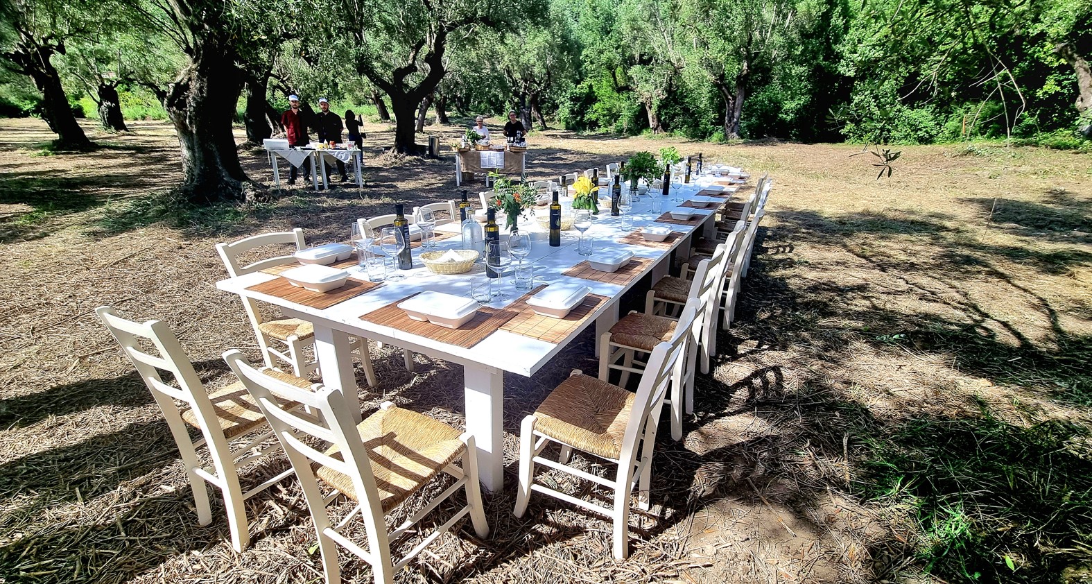 Pranzo_tra_gli_ulivi | Food and Wine Magazine Long white dining table set for an outdoor meal under olive trees with matching white chairs and place settings, in a sunlit grove.