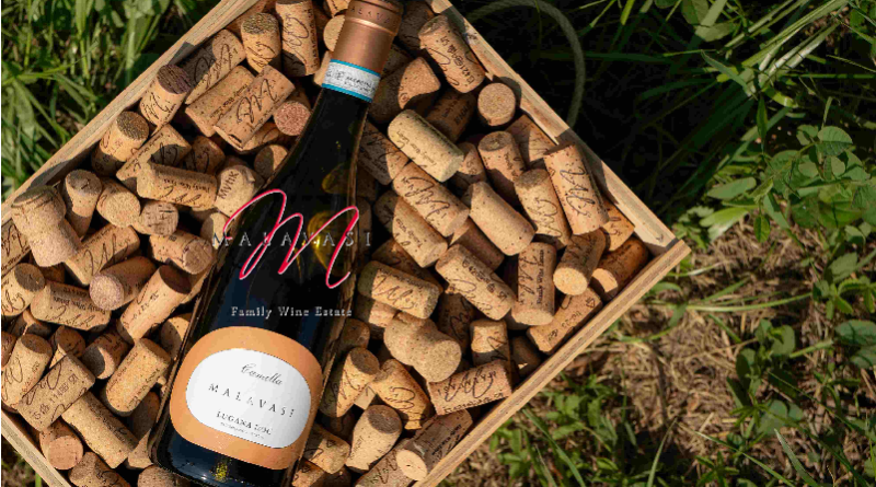 Wine bottle in a wooden crate filled with corks, outdoors on grass; label reads 'Family Wine Estate'