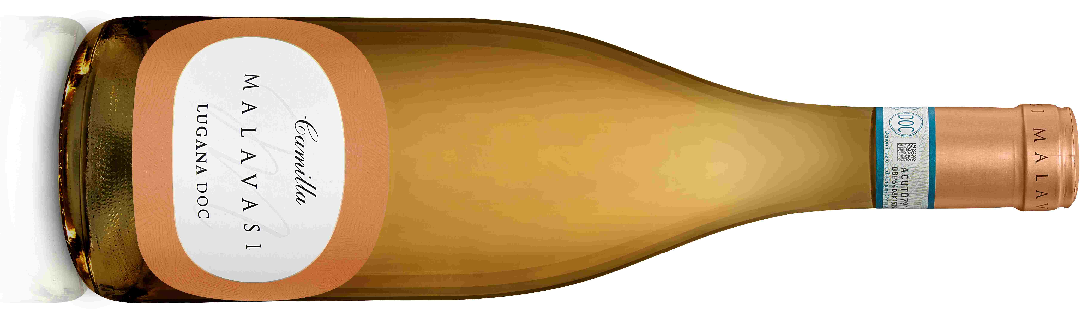 Golden bottle of sparkling wine lying on its side with a peach oval label reading MALAVASI Lugana DOC, and a gold foil neck.