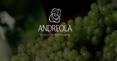 Brand logo 'Andreola' with grape background, tagline 'Eroico in Valdobbiadene' for a wine brand hero image.