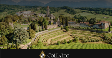 Vineyard-filled hillside with a medieval tower and historic estate, branding Colllato visible at the bottom (Collalto winery)