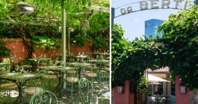 Outdoor cafe with green metal tables and chairs under leafy shade at a sunny outdoor dining area.