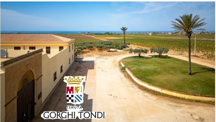 Vineyard estate with a tan building, dirt driveway, palm trees, green lawn, and the sea in the distance; Tenuta Gorghi Tondi logo overlaid.