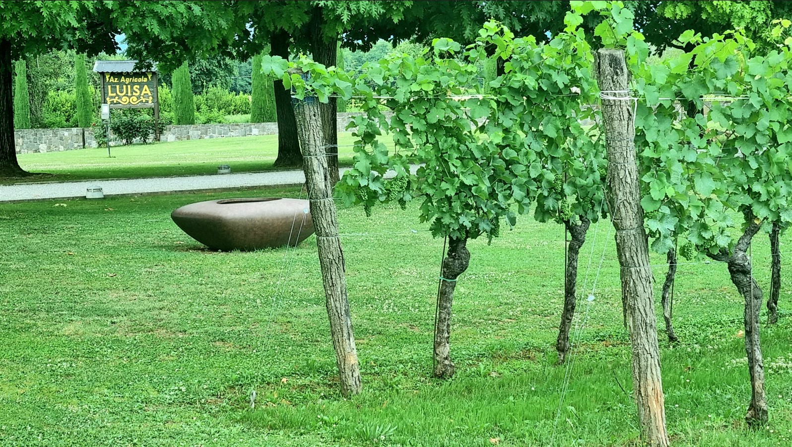 Public park scene with a large circular brown sculpture on a grassy area beside a gravel path and grapevines on trellises.] , but need to ensure within 125 chars.
